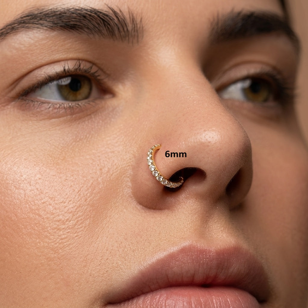 Crystal Hinged Segment Nose Ring & Piercing