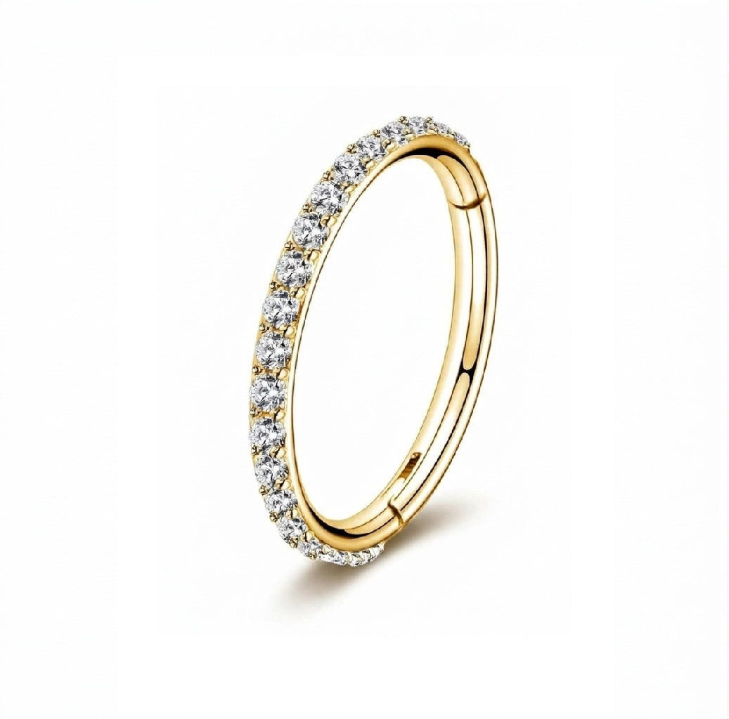 Crystal Hinged Segment Nose Ring & Piercing