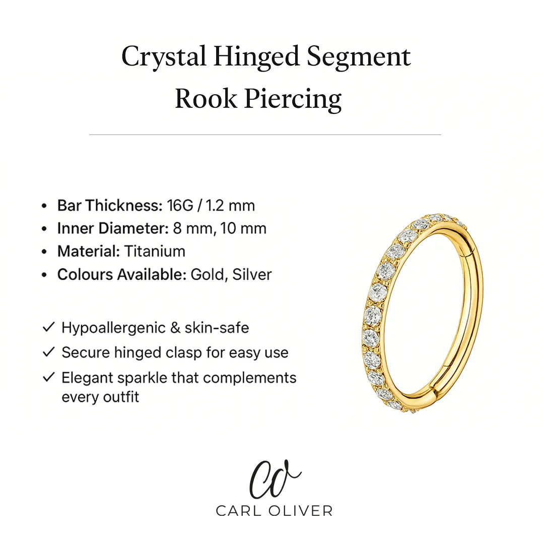 Crystal Hinged Segment Rook Piercing