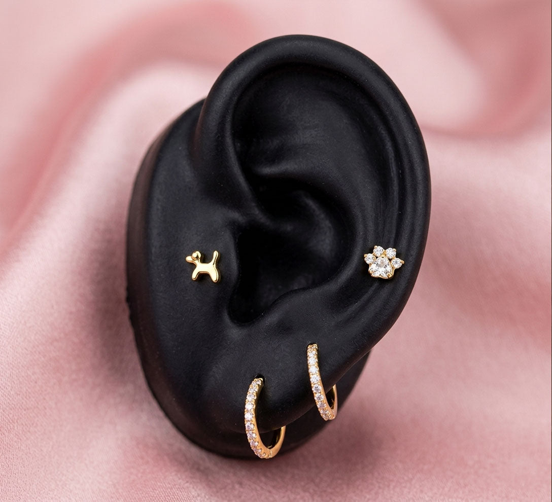 4-Piece Titanium Dog Piercing Set