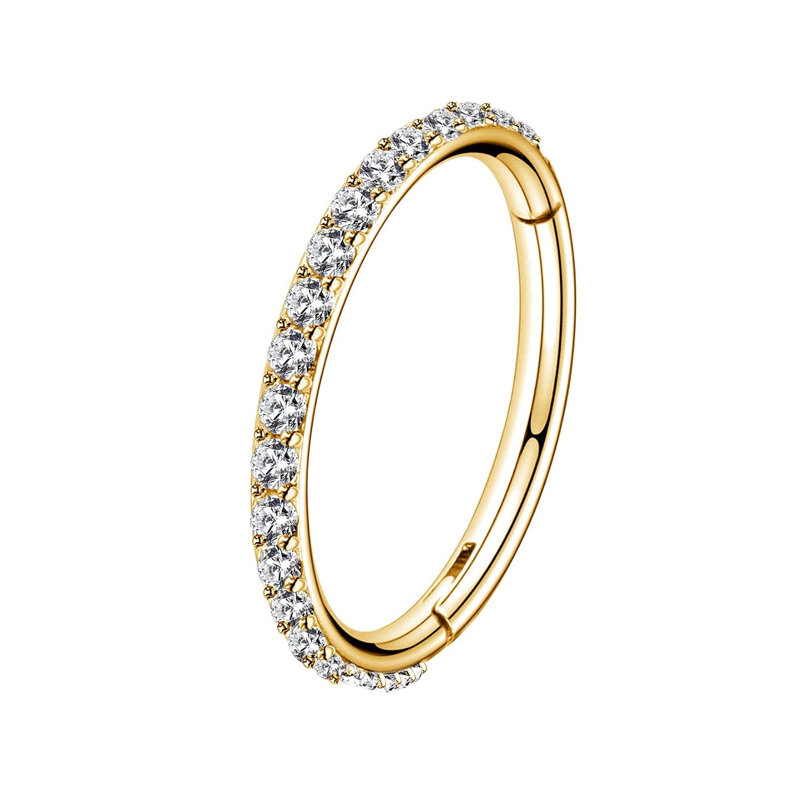 Crystal Hinged Segment Rook Piercing