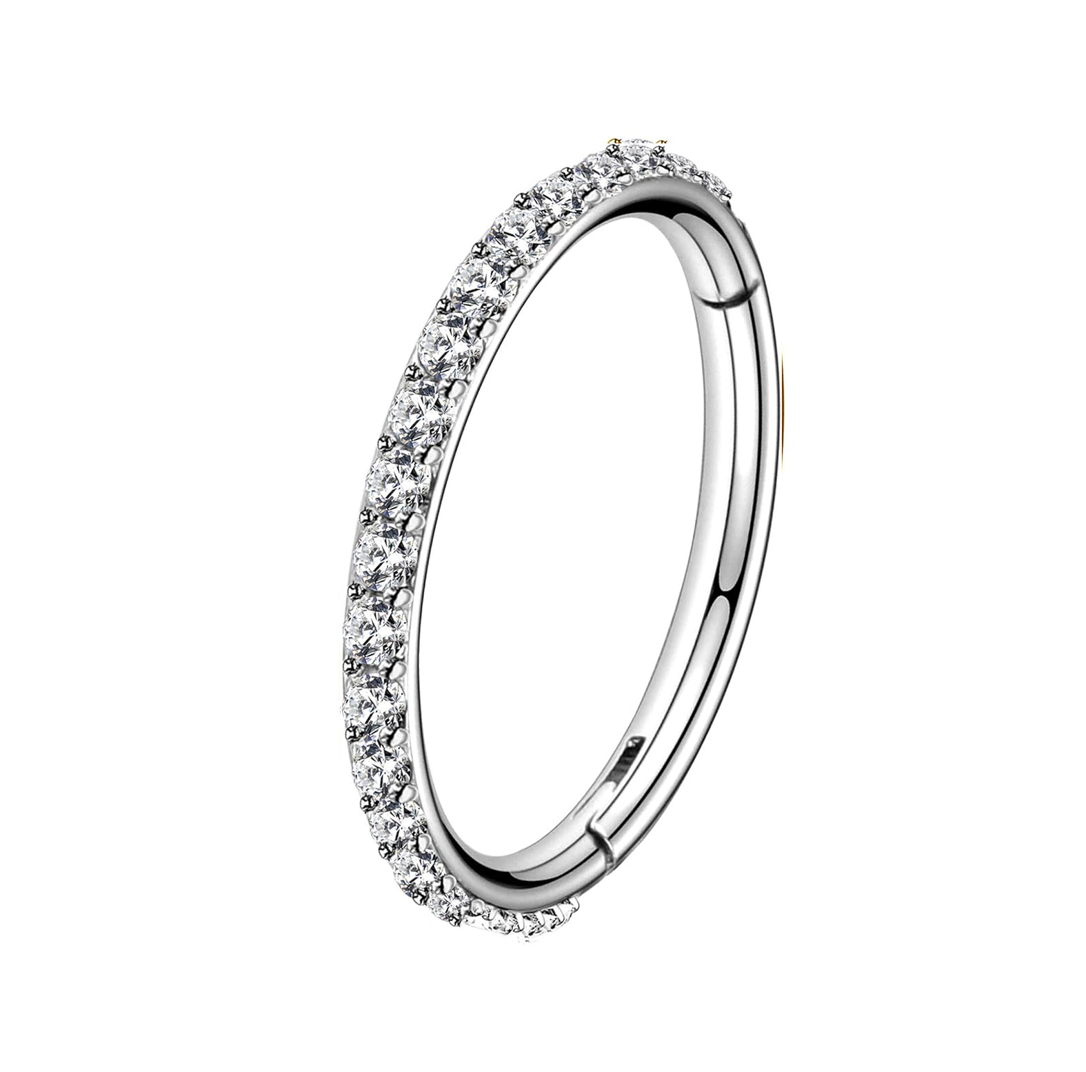 Crystal Hinged Segment Rook Piercing