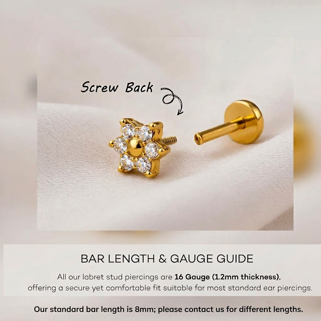 Titanium Bat CZ Tragus Piercing | Cartilage Piercing