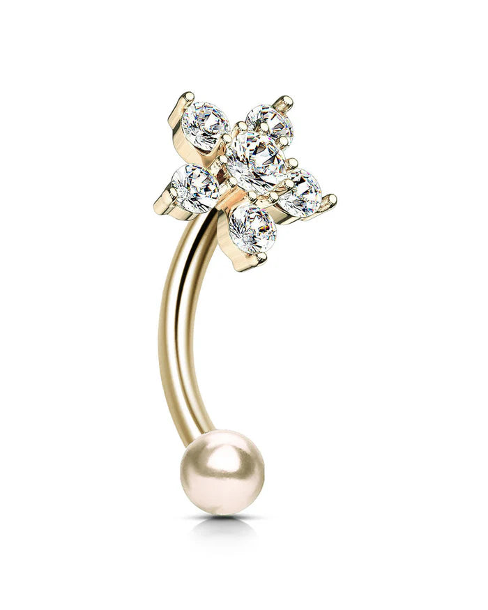 Flower Clicker Rook Piercing and Hoop