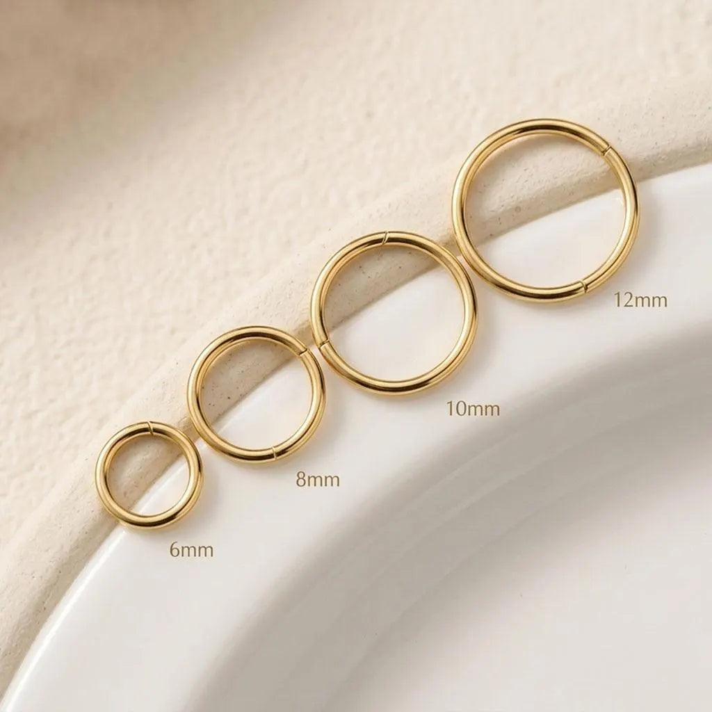 Plain Clicker Rook Piercing and Hoop