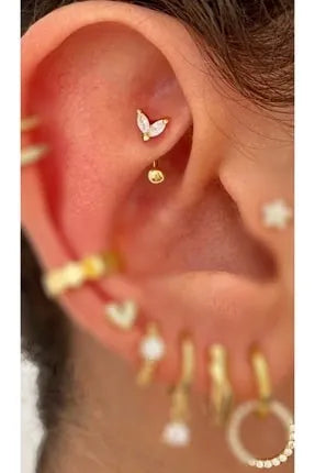 What is a rook piercing?