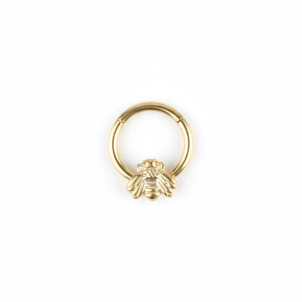 Bee Design Conch Piercing and Septum Piercing