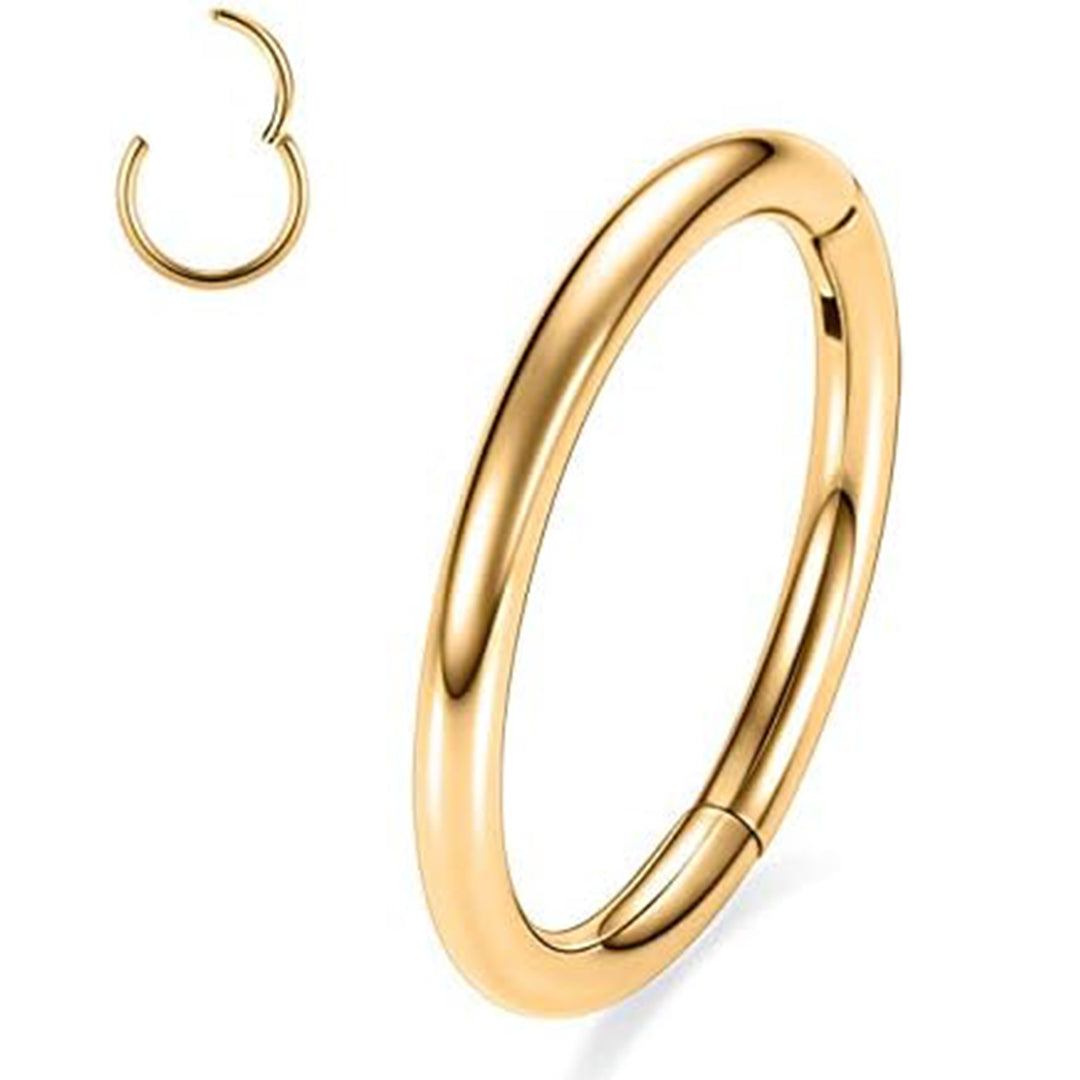 Plain Clicker Rook Piercing and Hoop