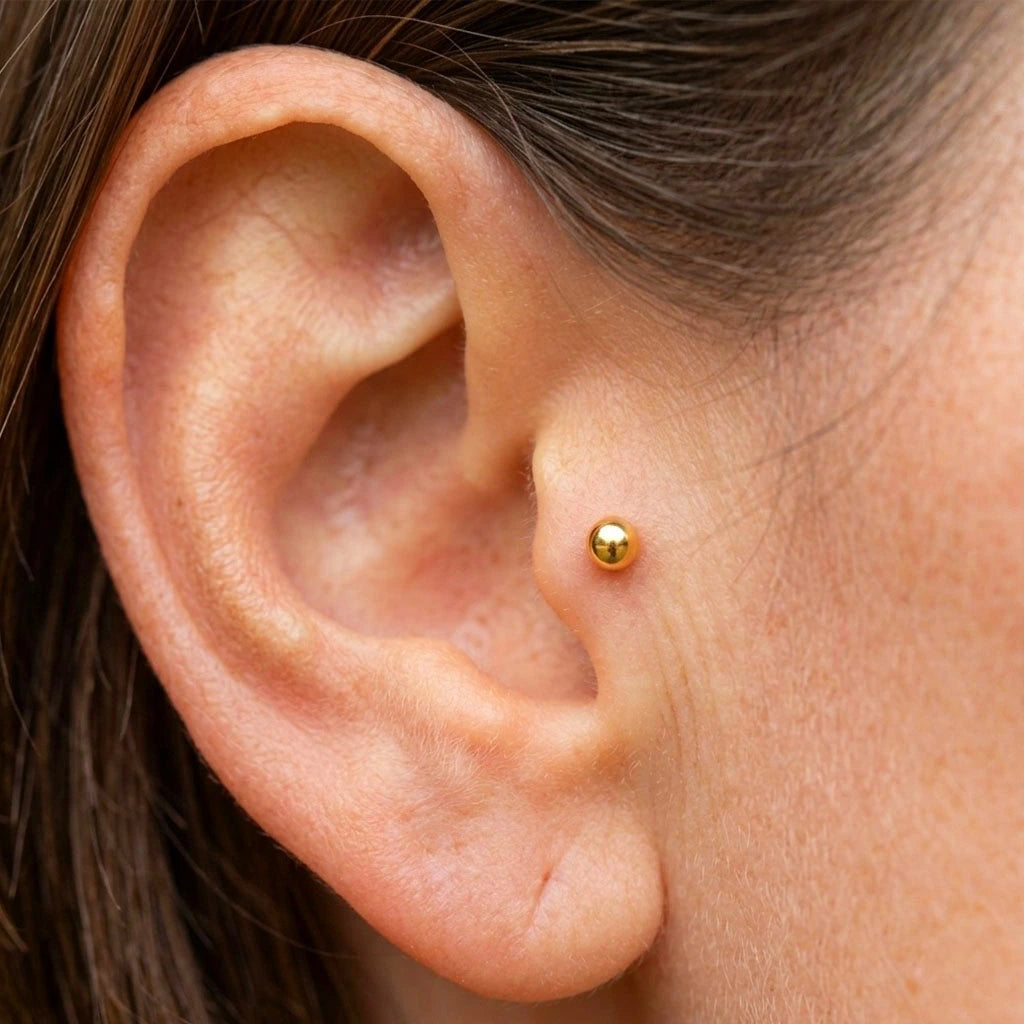 Plain Titanium Tragus Piercing | Ball Top Flat Back Labret Stud
