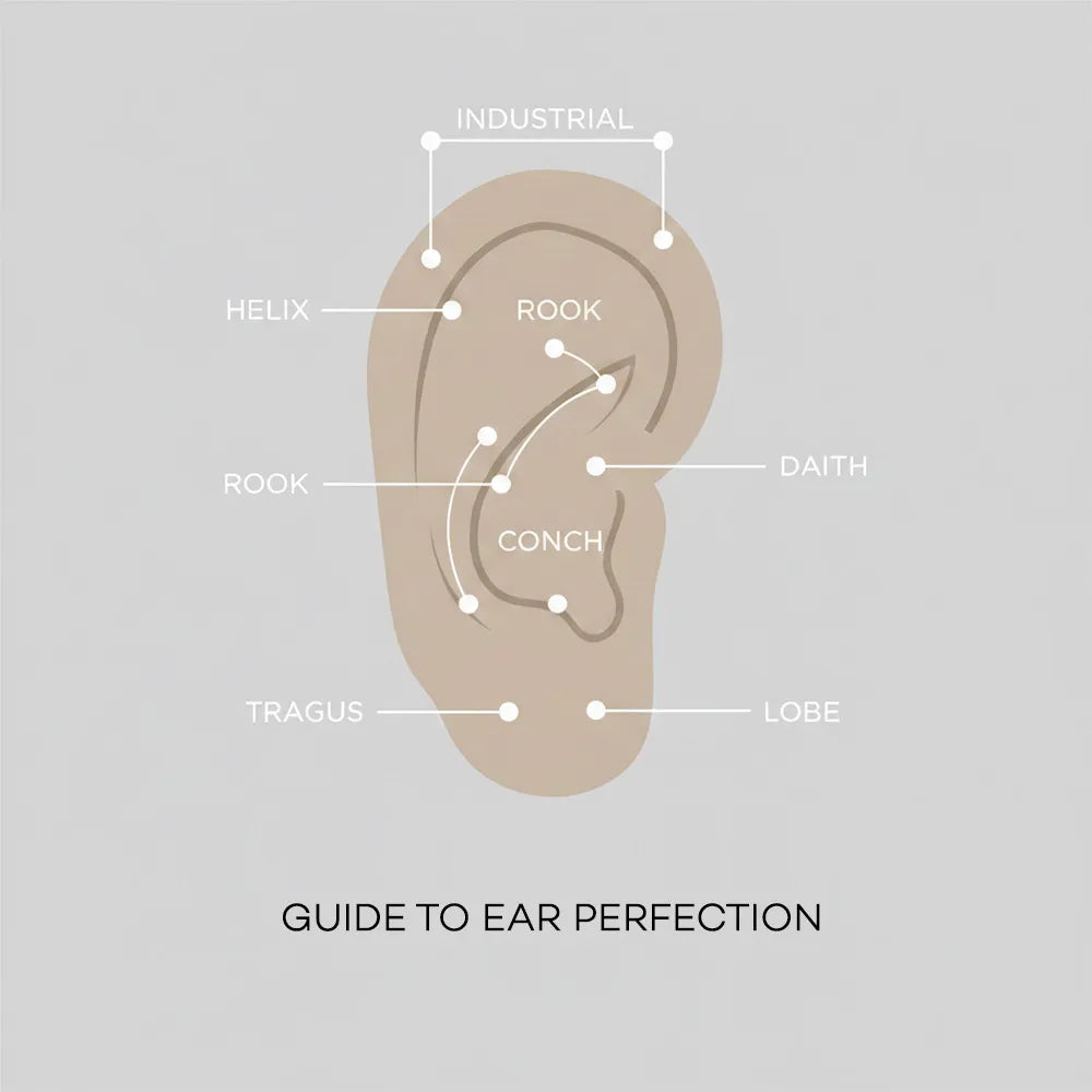 Diagram of an ear with labeled parts on a gray background