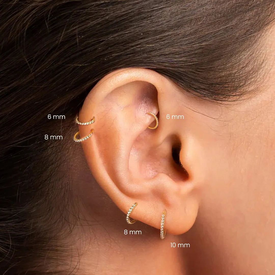 Crystal Hinged Segment Rook Piercing