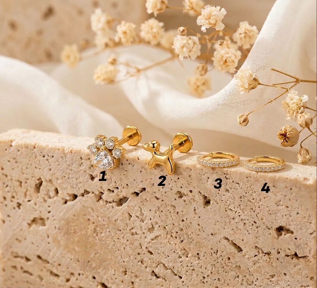 4-Piece Titanium Dog Piercing Set