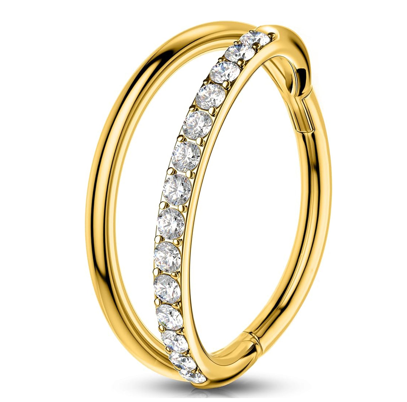 Double Hinged Segment Rook Piercing Cartilage Hoop